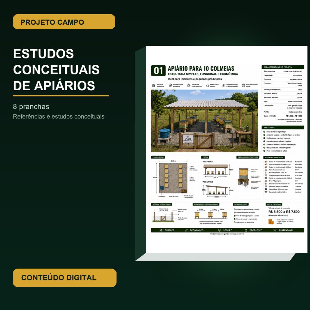 Capa do PDF